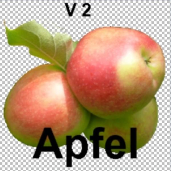 FRUIT APFEL V 2