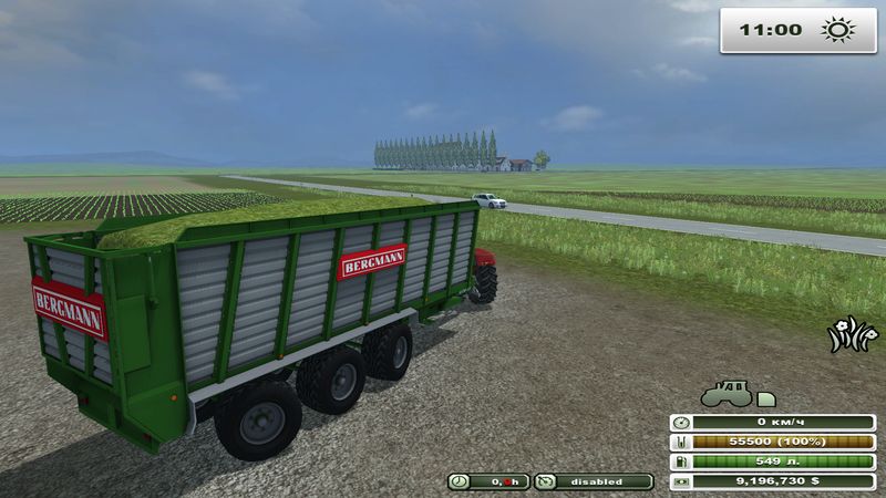 BERGMANN HTW 65 V 1.0