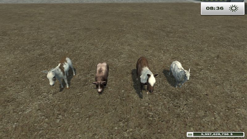 ANIMALS V 1.1 PLACEABLE