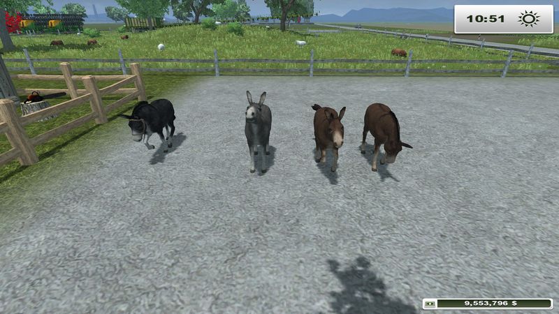 DONKEY V 1.0 PLACEABLE